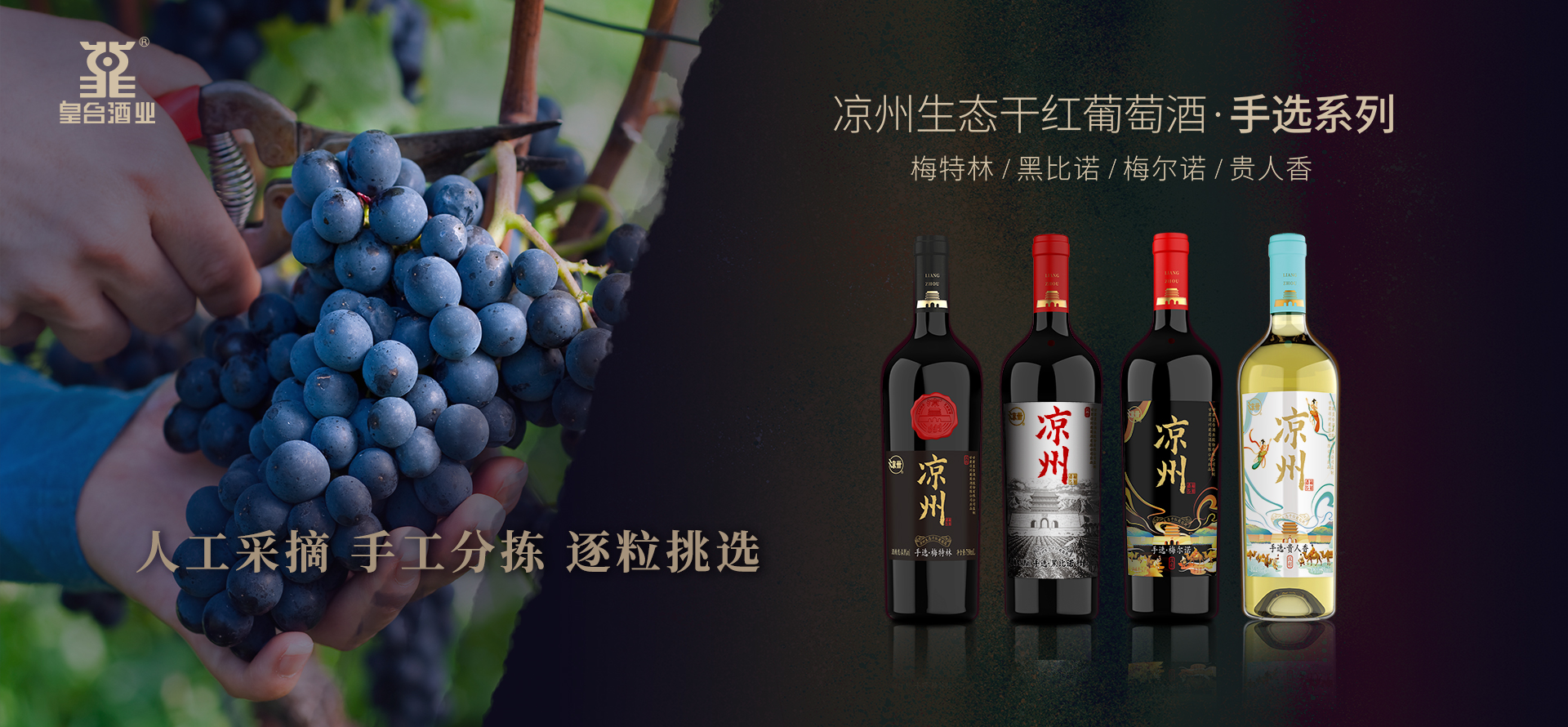 涼州生態(tài)干紅葡萄酒.手選系列